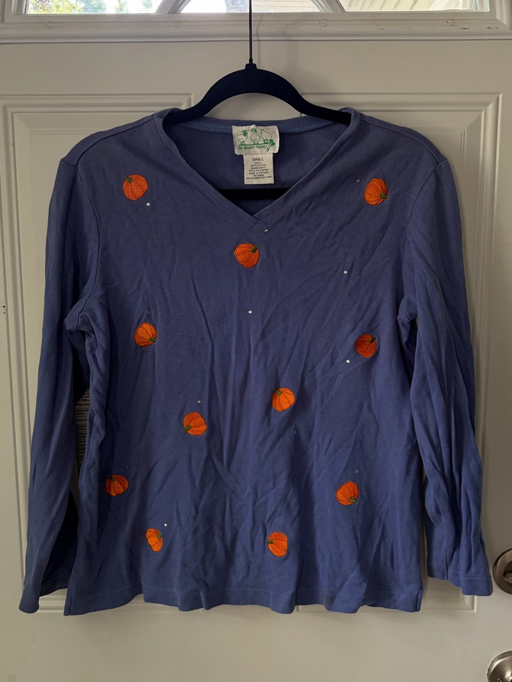The Quacker Factory "Embroidered Pumpkins" V-Neck Top 🎃 ✨